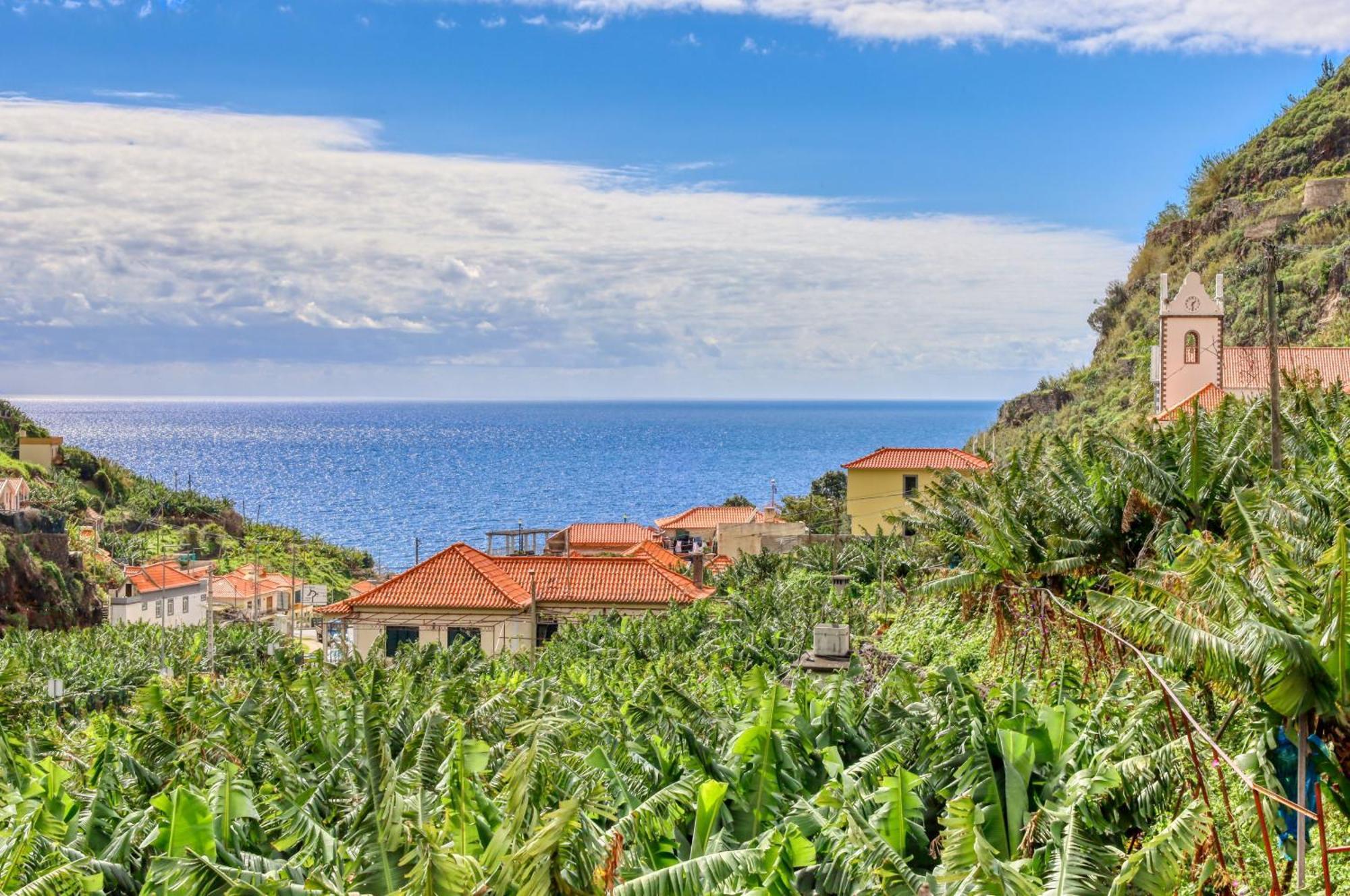 Casa Da Praia, A Home In Madeira Ribeira Brava Ngoại thất bức ảnh